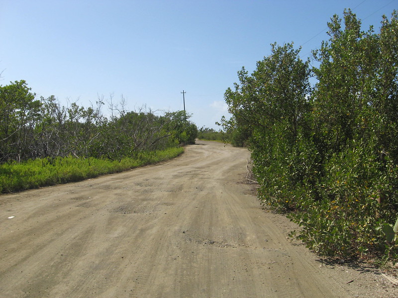 dirt road, by Kristine Pethick, "Dirt Road to Playa Sucia"